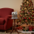 22773d23148d29dfc1e79eb118625101.png