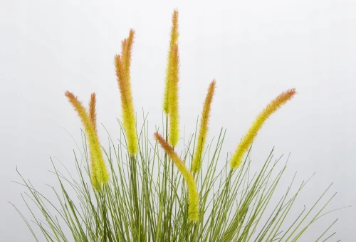 1ecd44d2a09c8bf959160cf500599e07.jpg