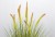 Trawa sztuczna roślina fejka H90 Decodomi