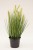 Sztuczna trawa roślina w doniczce fejka 57cm