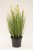Sztuczna trawa roślina w doniczce fejka 57cm