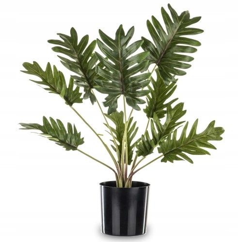 820e690f77fc272679f9b1fb929c86c1