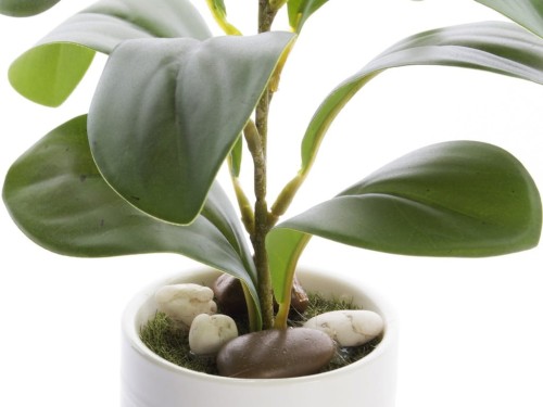 e5efd83a98cf5a78f3d9d0c9ba07385c