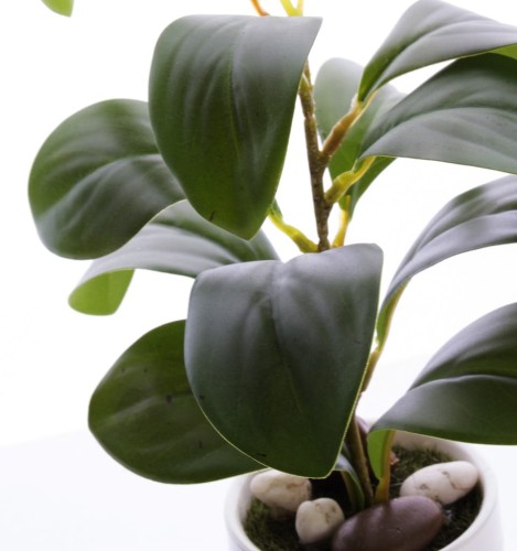 0ec6117af7982815fd879bdc2af4234c