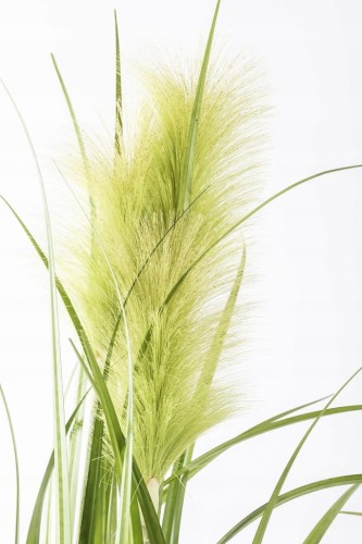 9ca34dad9848c186387c74425911becf