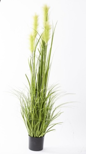 ad829834848e3f600929e6b151e077a5