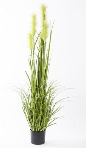 88c8ba746e10f533facf86d70f9600c4