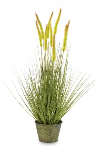 9a96b454bd962f6e6da46b821c8b3c50