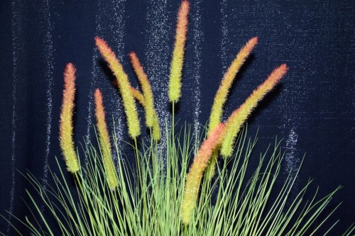 4b8ee2d2ac6979bb9ba1730bdeeef829