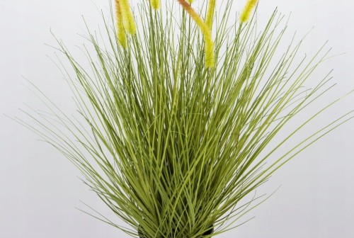 2939533b942f5c15669ed5170f08e307