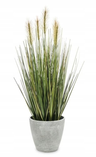 75276c43c08abbe5663116a58f816026