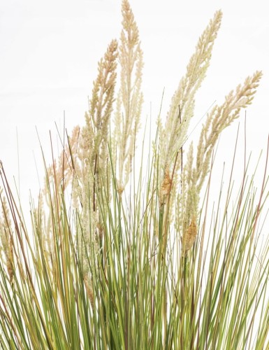 95838501c2858d9c39f0dc56a96ab16e