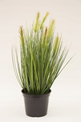 d47fd09e86dae762e025748ea28b2374