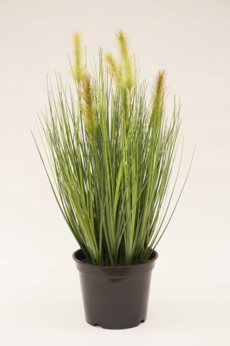 485d1bcc233d1cb7a31ea44fc263ed77