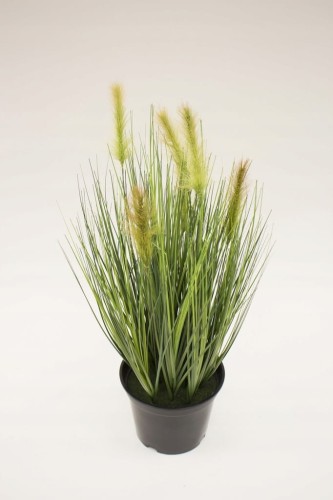 5954f1e36b91e0e59b52b67be2cc06aa