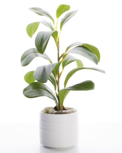 b7d8ecc16117a4c35c1d1df2be4ec8be