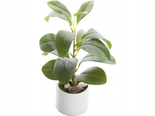 314e97d1df3f99d231b56637abfe408b