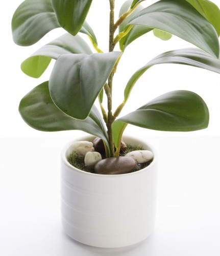 8f6cb0ea9051688e1179c5b1b30f6a26