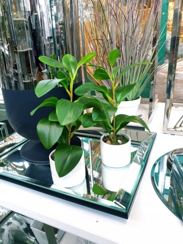 ca2c157f404f6effb1d57a88b9e92c68