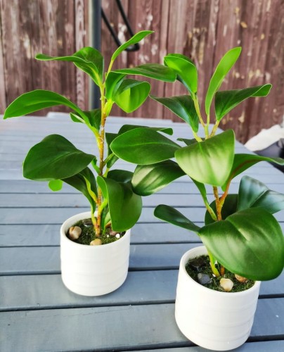 92ab934818132fcfee884d5ceeb5048d