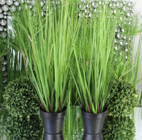 436c5117b2923194363eff1b76705d9c