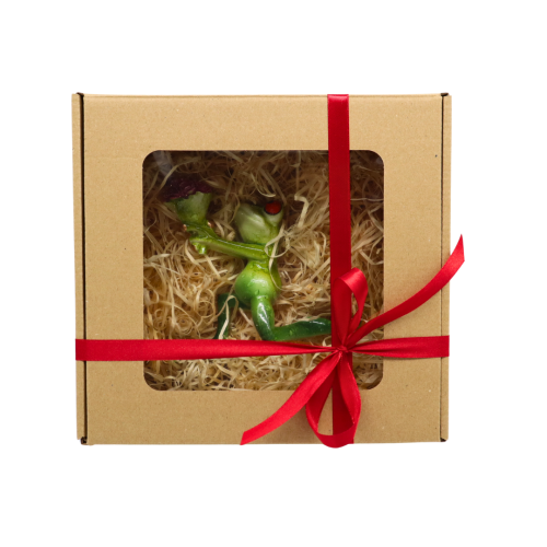 żaba z kwiatami.png