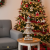 83d7957de6c3c40ca5228f0b36560a5d.png