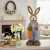 ed7638f3eb63aed4d13c9997b3be522a.png